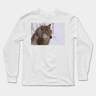 Timber Wolf Portrait Long Sleeve T-Shirt
